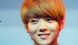 鹿晗韩国爆料视频合集,韩国爆料视频合集深度解析